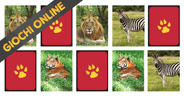 Giochi memory per bambini di 5 anni: gli animali della selva - Online e gratis