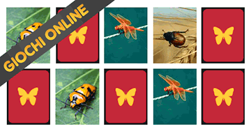 Giochi di memoria per bambini di 5 anni: gli insetti - Gioco memory online e gratis
